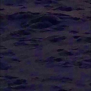 Meet your Posher, Kassidy